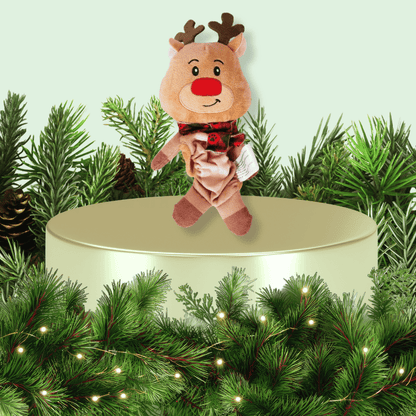 Holiday Plush Rudolph Dog Toy