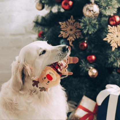 Holiday Plush Rudolph Dog Toy