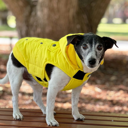 Huskimo Mt Buller Dog Jacket Yellow