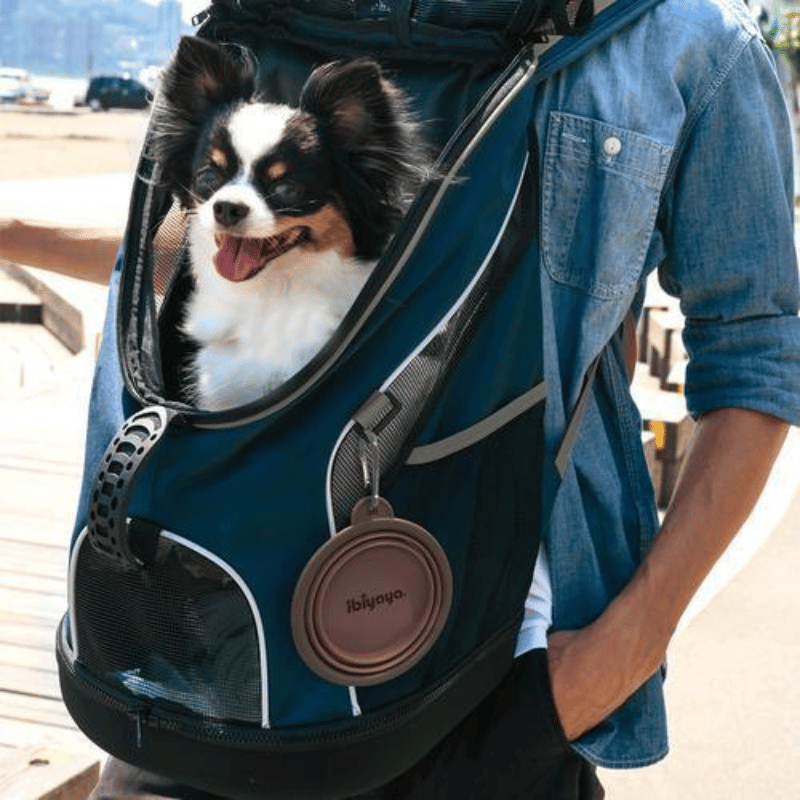 Ibiyaya Collapsible Travel Bowl Brown