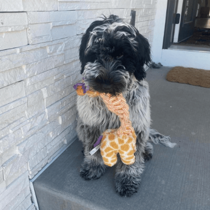 KONG Knots Twists Animal Dog Toy Assorted