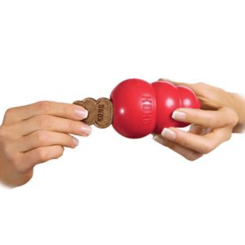KONG Peanut Butter Dog Treat