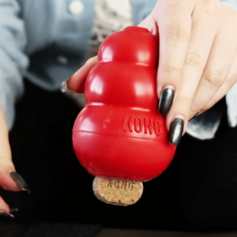 KONG Peanut Butter Dog Treat