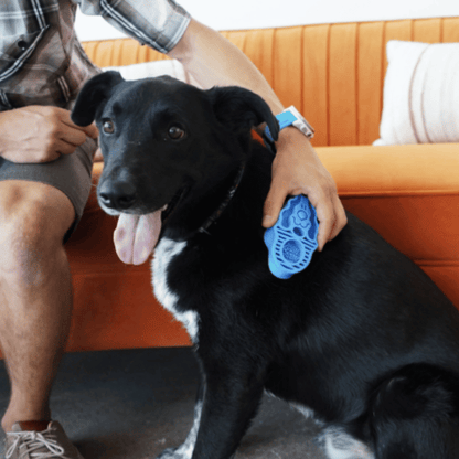 KONG ZoomGroom Dog Brush