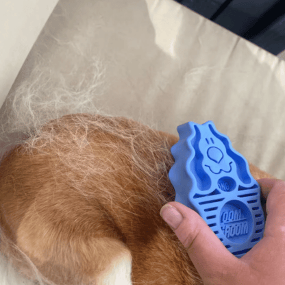 KONG ZoomGroom Dog Brush