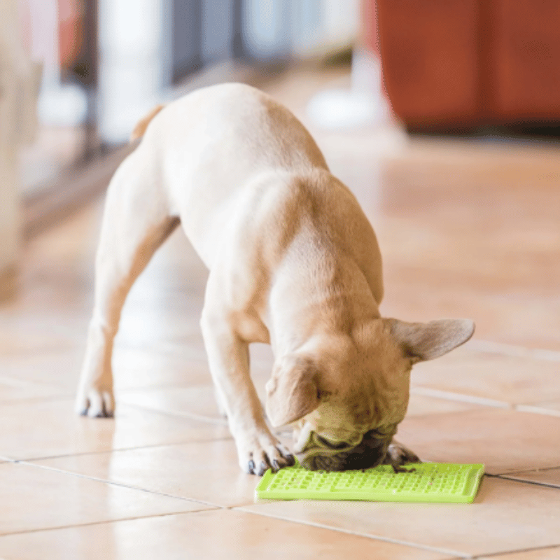 LickiMat Mini Buddy Dog Mat Green