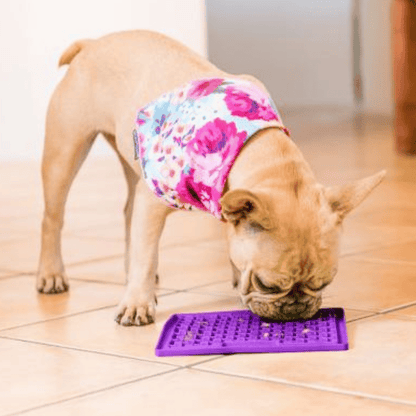 LickiMat Mini Buddy Dog Mat Purple