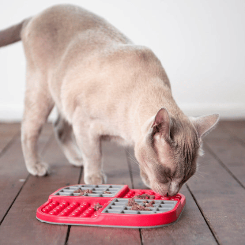 LickiMat SloMo Dog Mat Pink