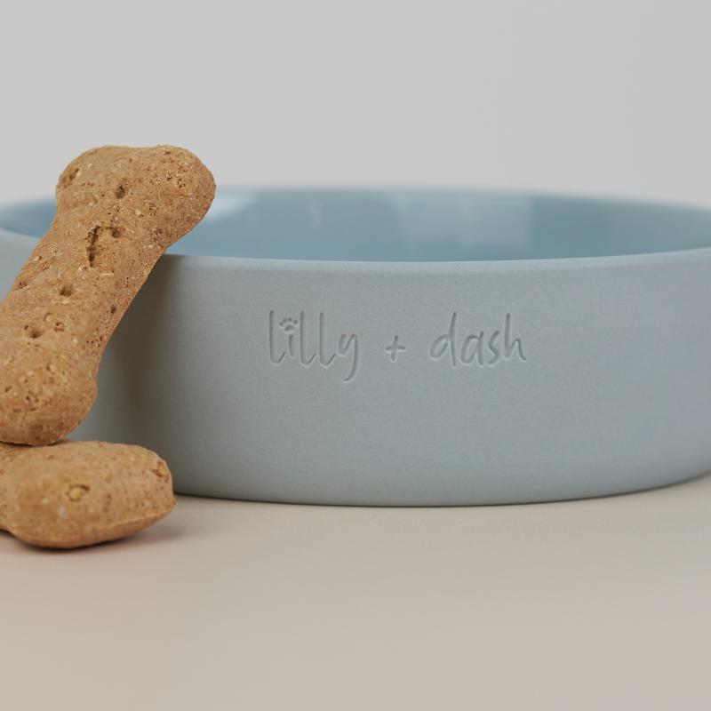 Lilly + Dash Dog Bowl Sky Blue