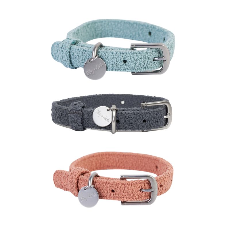 lilly-dash-boucle-dog-collar