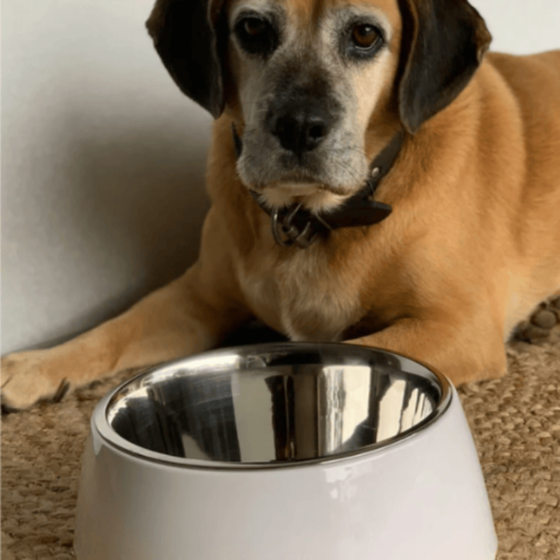 Loving Pets Retro Dog Bowl Ice White