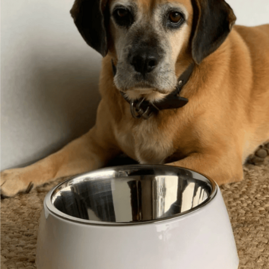 Loving Pets Retro Dog Bowl Ice White