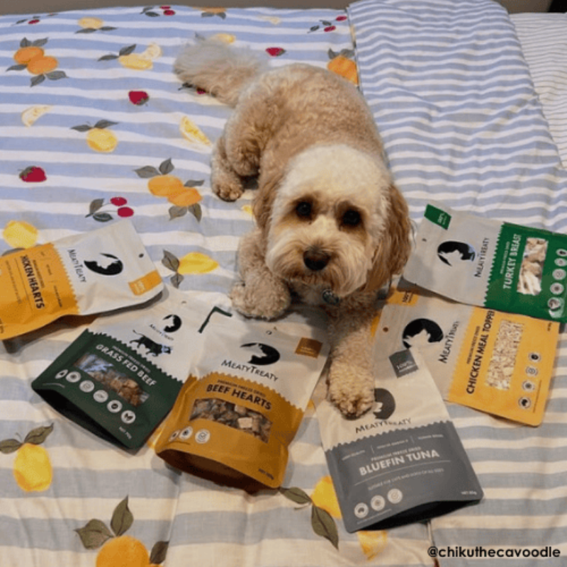 Meaty Treaty Freeze Dried Beef Hearts Dog Treat