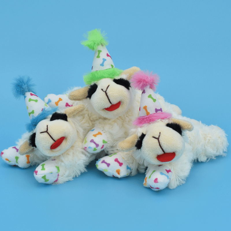 Multipet Birthday Lamb Chop Dog Toy