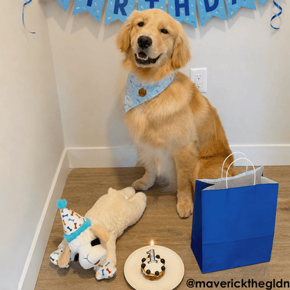 Multipet Birthday Lamb Chop Dog Toy