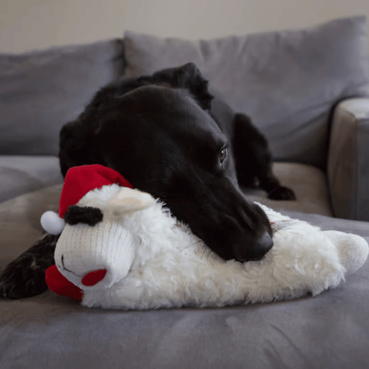 Multipet Christmas Lamb Chop Dog Toy