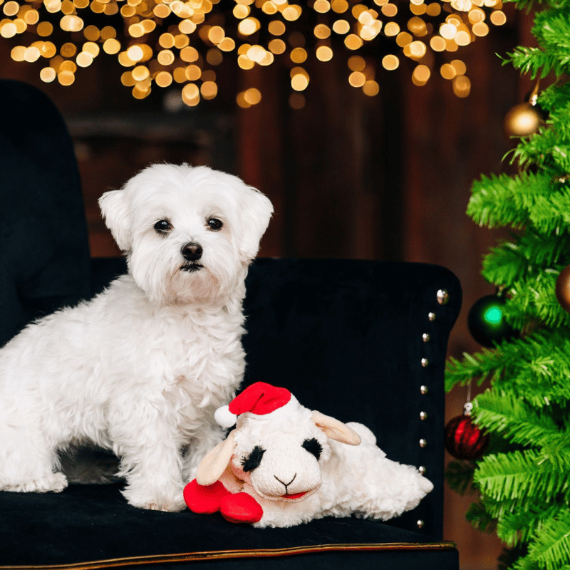 Multipet Christmas Lamb Chop Dog Toy