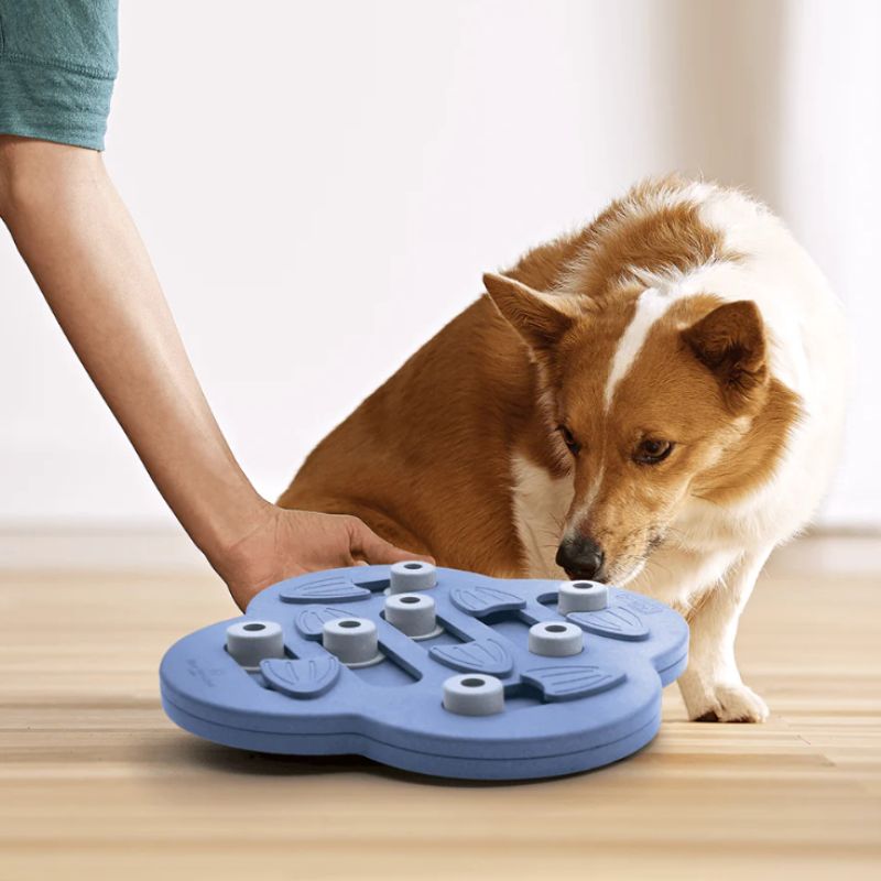 Nina Ottosson Hide n' Slide Slow Feeder Level 2 Enrichment Dog Toy - DOGUE