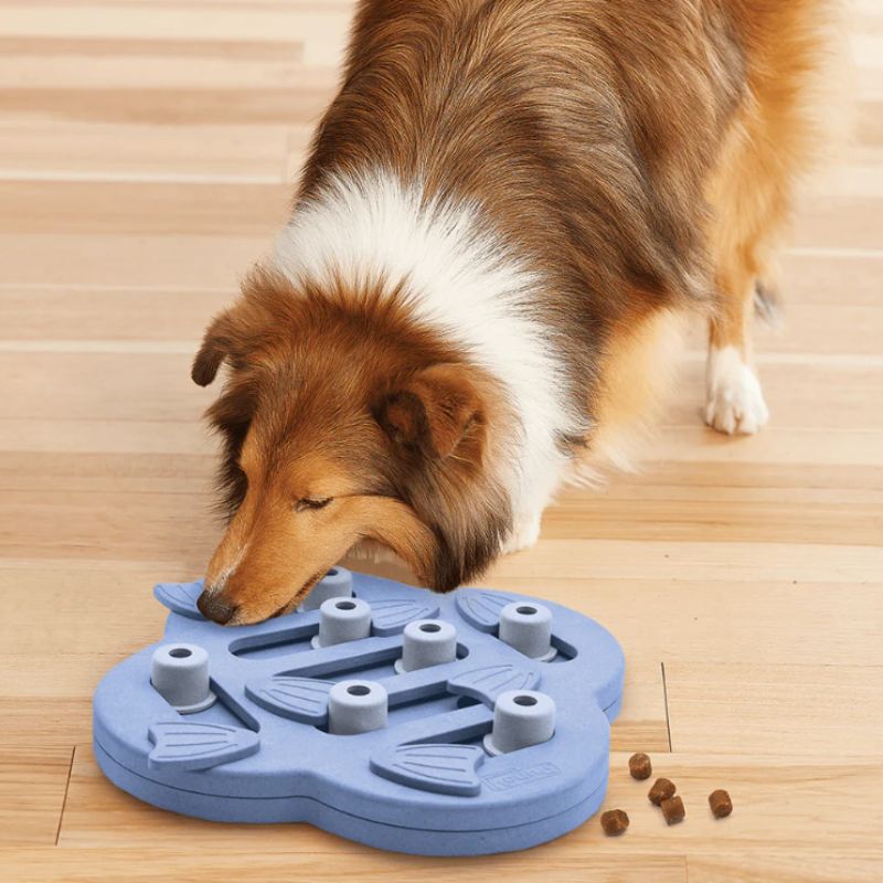 Nina Ottosson Hide n' Slide Slow Feeder Level 2 Enrichment Dog Toy - DOGUE