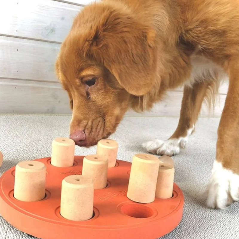 Nina Ottosson Smart Composite Puzzle Dog Toy