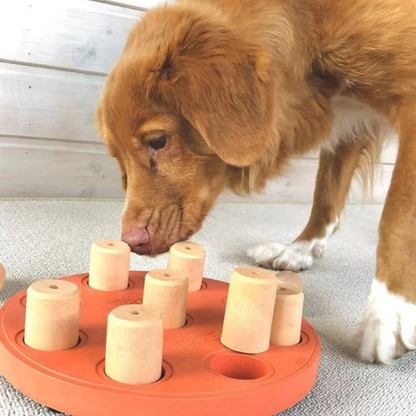 Nina Ottosson Smart Composite Puzzle Dog Toy
