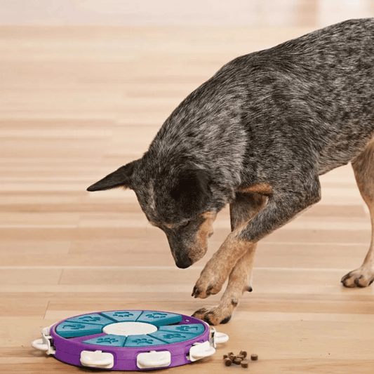 Nina Ottosson Twister Dog Toy