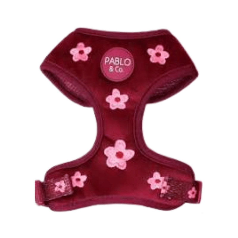 Pablo & Co Bloom Baby Bloom Velvet Dog Harness