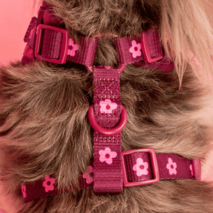 Pablo & Co Bloom Baby Bloom Velvet Dog Harness