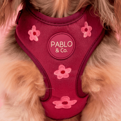 Pablo & Co Bloom Baby Bloom Velvet Dog Harness