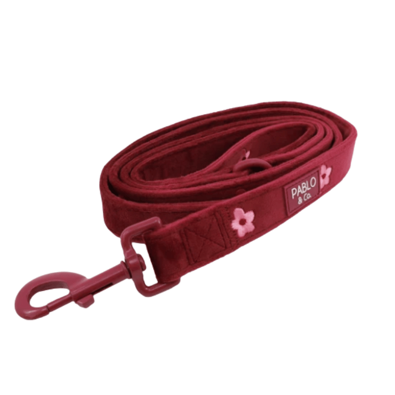 Pablo & Co Bloom Baby Bloom Velvet Dog Lead