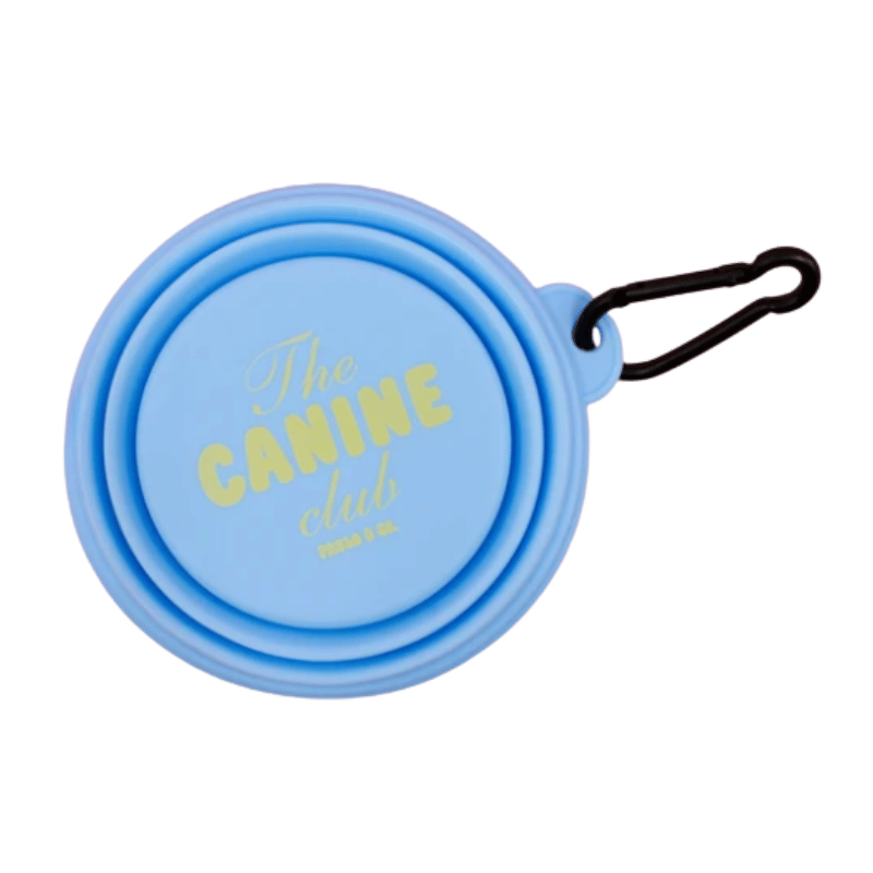 Pablo & Co Collapsible Dog Bowl Blue