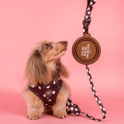 Pablo & Co Collapsible Dog Bowl Brown