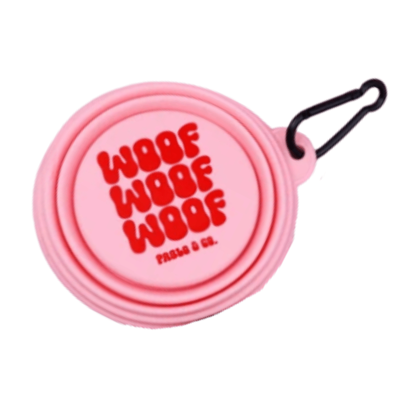 Pablo & Co Collapsible Dog Bowl Pink