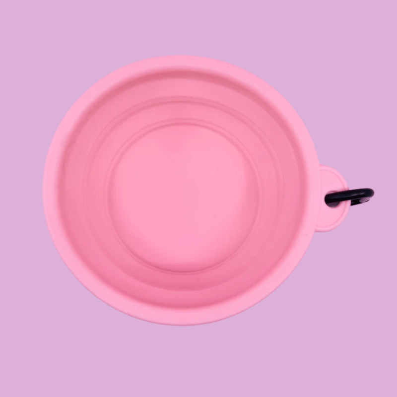 Pablo & Co Collapsible Dog Bowl Pink