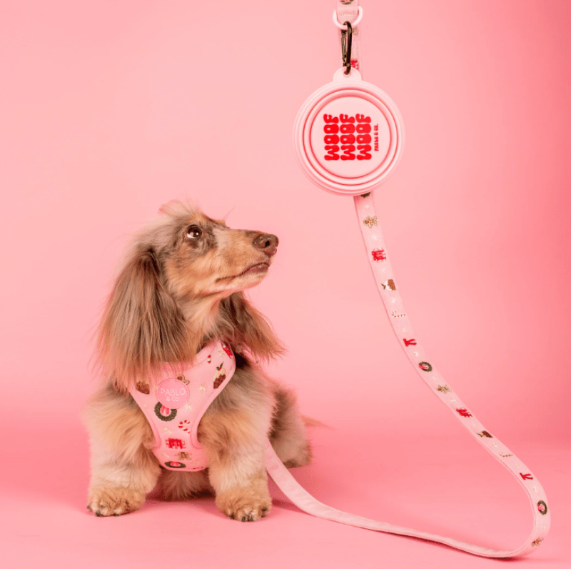 Pablo & Co Collapsible Dog Bowl Pink