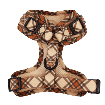 Pablo & Co Kensington Dog Harness