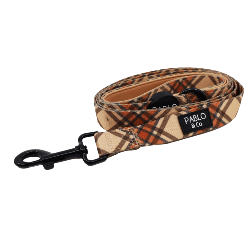 Pablo & Co Kensington Dog Lead
