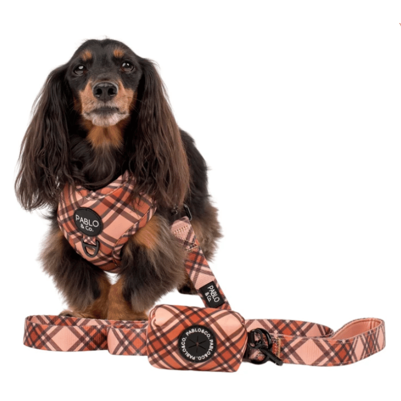 Pablo & Co Kensington Poop Bag Holder