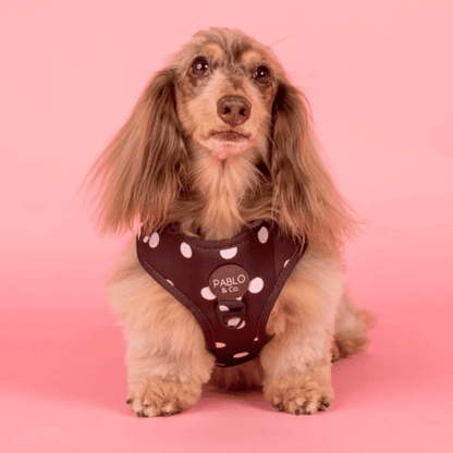 Pablo & Co Polka Dot Dog Harness