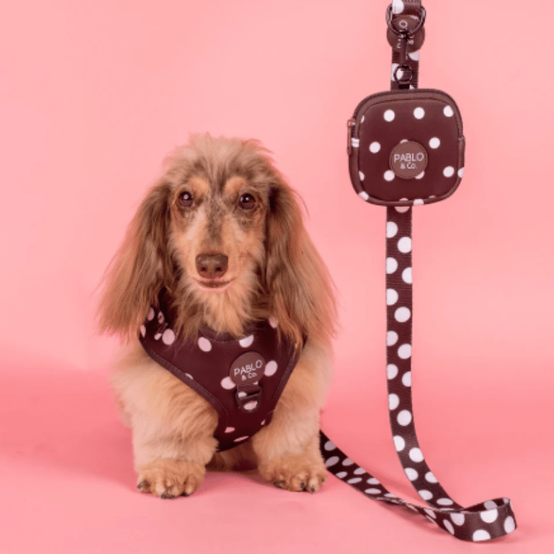 Pablo & Co Polka Dot Dog Lead