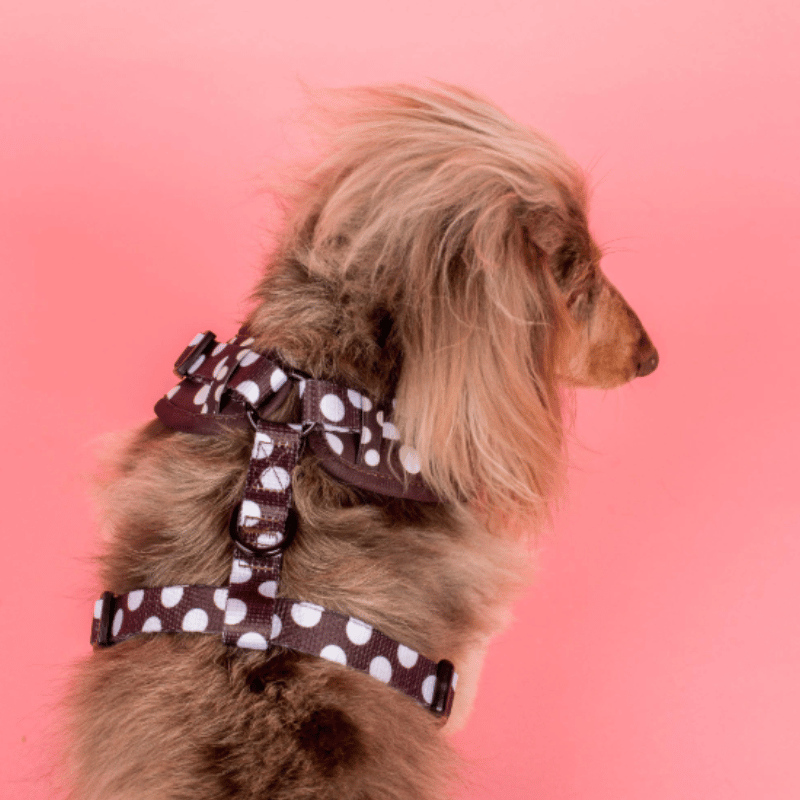 Pablo & Co Polka Dot Dog Harness