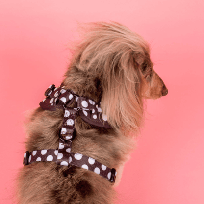 Pablo & Co Polka Dot Dog Harness