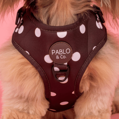 Pablo & Co Polka Dot Dog Harness