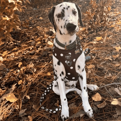 Pablo & Co Polka Dot Dog Harness