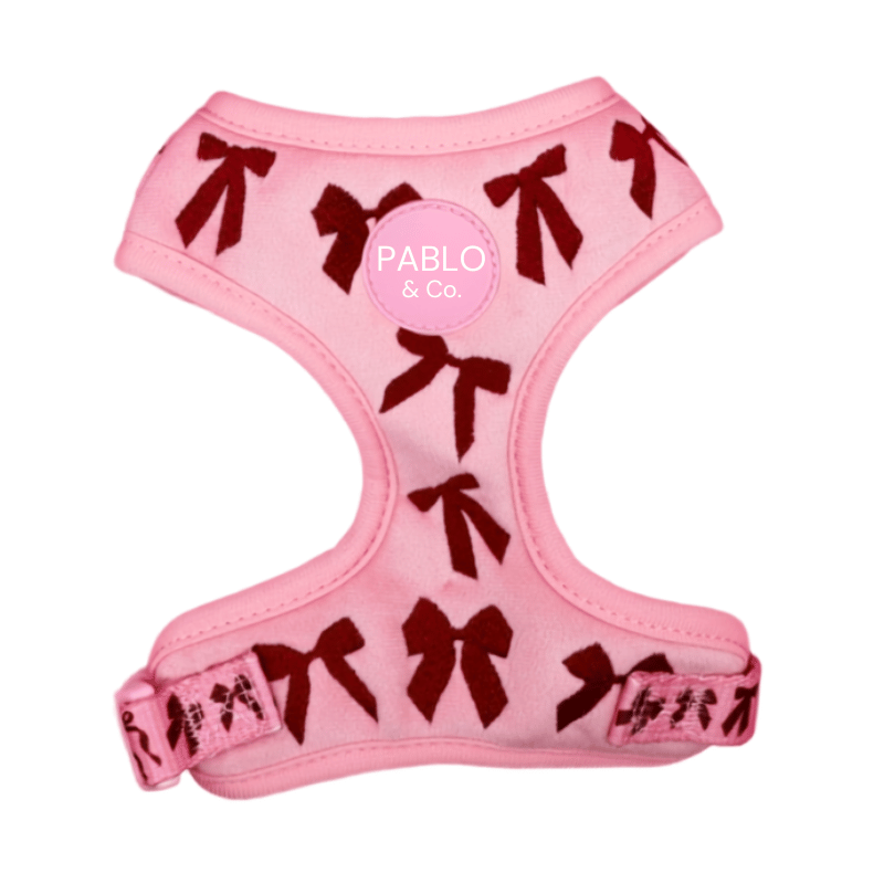 Pablo & Co Velvet Blush Bows Dog Harness