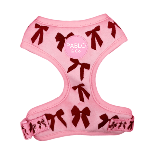 Pablo & Co Velvet Blush Bows Dog Harness