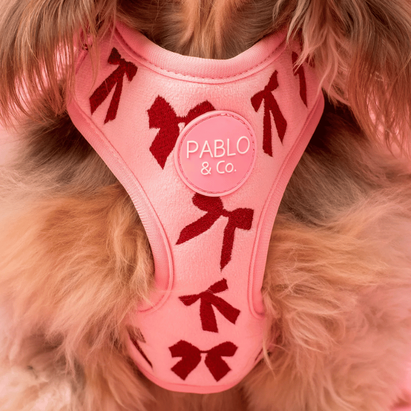 Pablo & Co Velvet Blush Bows Dog Harness