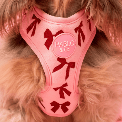 Pablo & Co Velvet Blush Bows Dog Harness