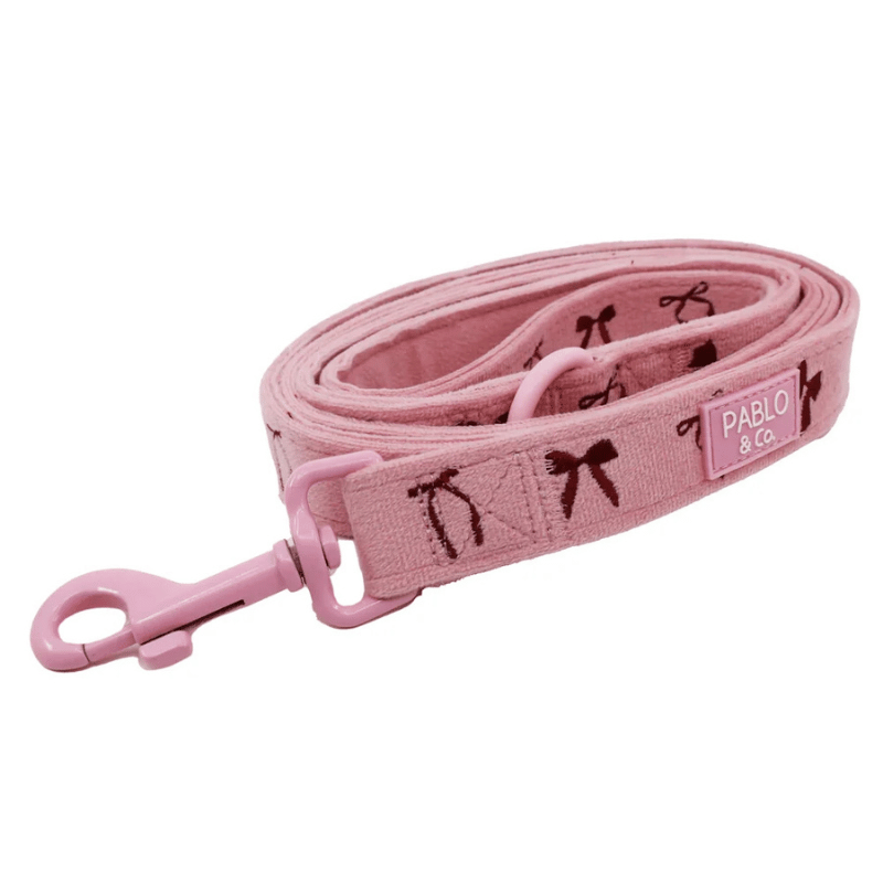 Pablo & Co Velvet Blush Bows Dog Lead