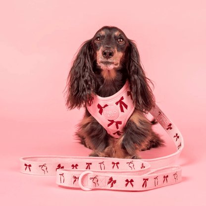 Pablo & Co Velvet Blush Bows Dog Lead